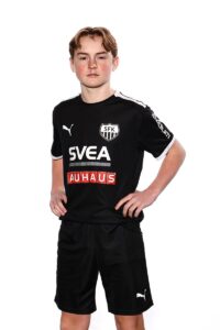 Ludvig