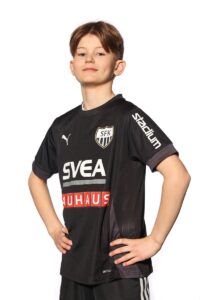 Sander