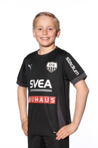 Vidar