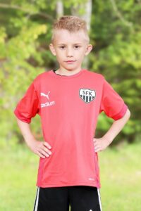 Arvid
