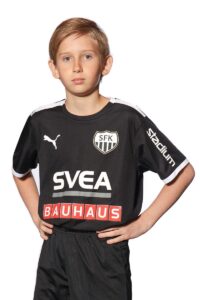 Mikael